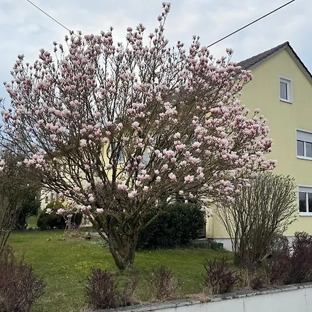 W&p Living Mit Ausblick - Parkplatz Apartment